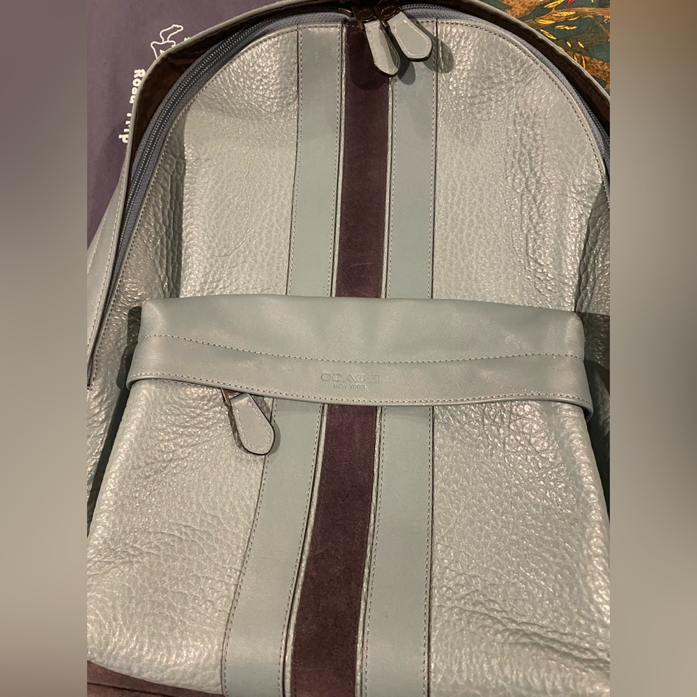 XL Coach Men’s Rally Green and Dark Brown striped Leather Backpack Like New